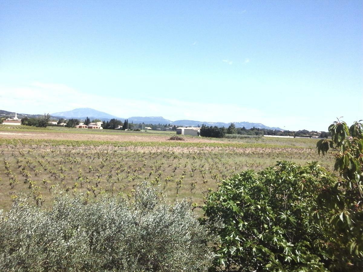 לינה וארוחת בוקר Sainte-Cécile-les-Vignes Vents D'Anges מראה חיצוני תמונה